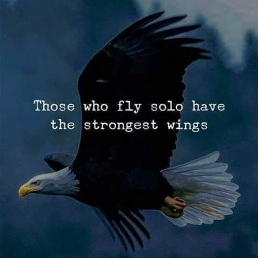 Meet your Posher, wstreasures